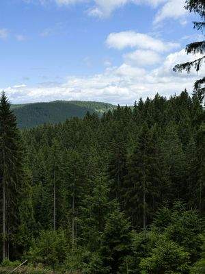 2025-07-22 13.49.34.jpg