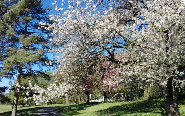 Tapachtal im Frühjahr