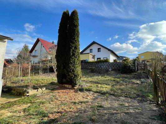 Platz für grüne Daumen