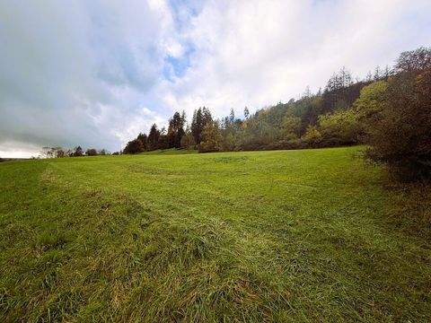 Weißenburg Oberhochstatt Industrieflächen, Lagerflächen, Produktionshalle, Serviceflächen