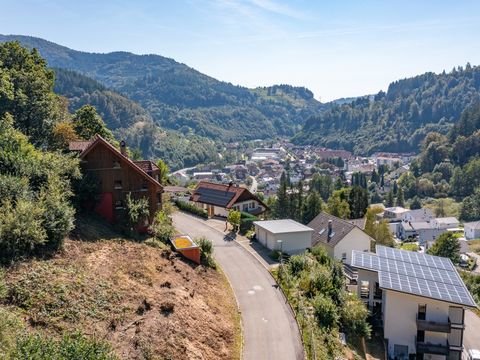 Zell im Wiesental Bauernhöfe, Landwirtschaft, Zell im Wiesental Forstwirtschaft