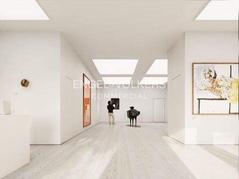 Berlin Ladenlokale, Ladenflächen 