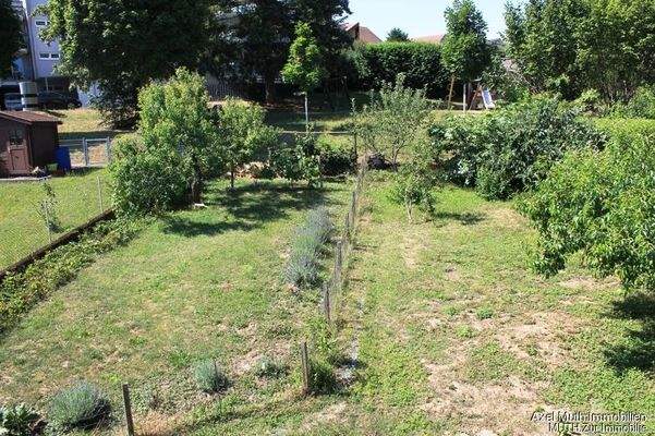 Große Gartenfläche