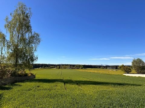 Altenmarkt an der Alz Grundstücke, Altenmarkt an der Alz Grundstück kaufen