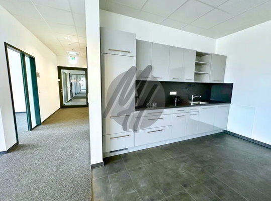 INFOS UNTER: 06171-586000