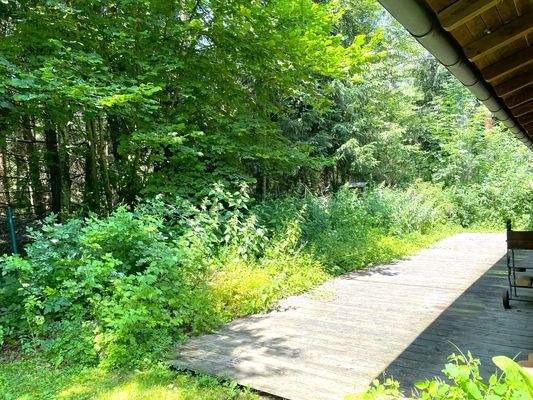 Terrasse an den Wald angrenzend