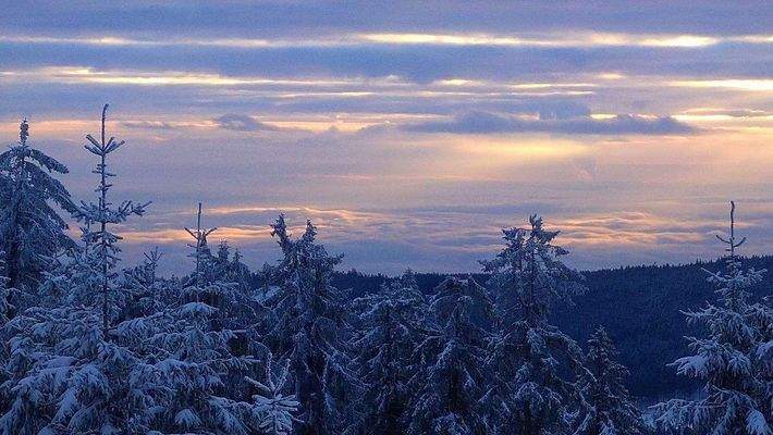 Über den Wolken im Winter.JPG
