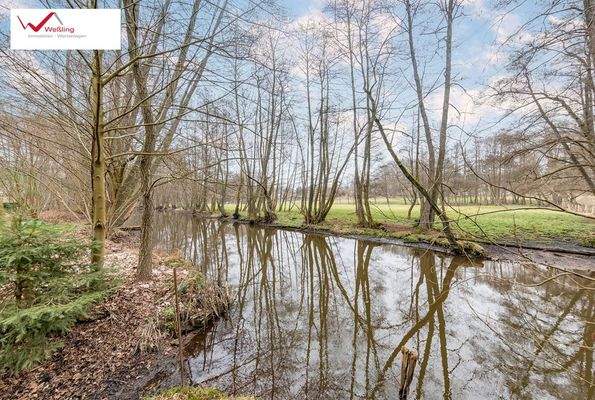 hintere Grundstücksgrenze - Luhe