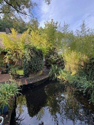 ~ 571 m² Grundstück