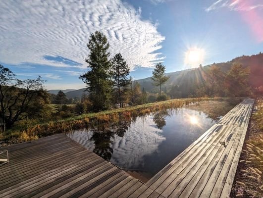 Schwimmbiotop, Herbstaufnahme