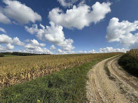 Pilsting / Großköllnbach Bauernhöfe, Landwirtschaft, Pilsting / Großköllnbach Forstwirtschaft
