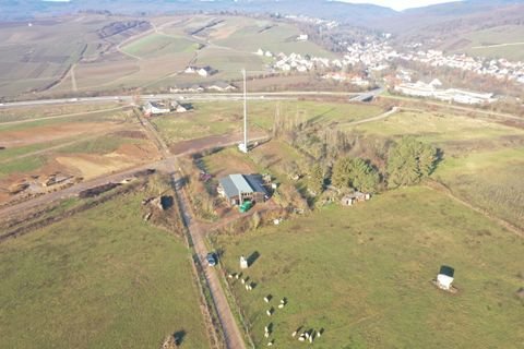 Eltville am Rhein Grundstücke, Eltville am Rhein Grundstück kaufen