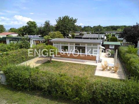 Loissin Häuser, Loissin Haus kaufen