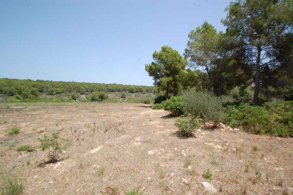 Building plot in Sol de Mallorca