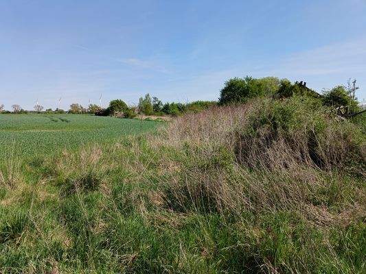 angrenzende Ackerfläche