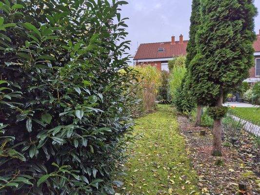 Blick von hinten zum Haus.jpg