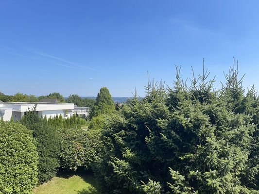 Fernblick.jpg