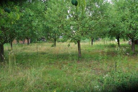 Oranienburg Grundstücke, Oranienburg Grundstück kaufen