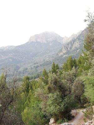 Berghütte – Ausblick