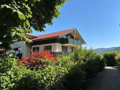 Bergen Wohnungen, Bergen Wohnung kaufen