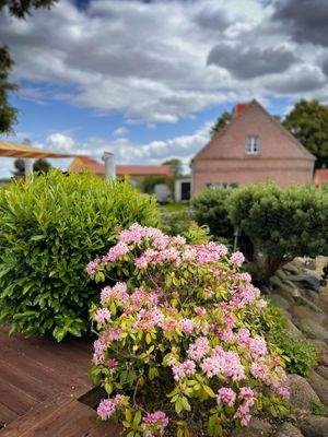 Bild 70