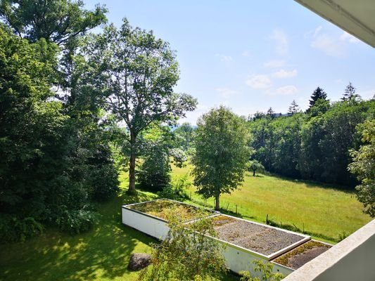 Blick vom Balkon ins Grüne 