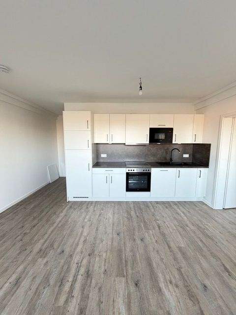 Dresden Wohnungen, Dresden Wohnung mieten