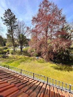 Foto 04.05.23, 10 42 00.jpg