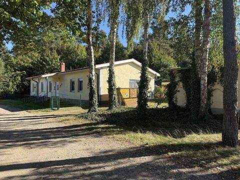 Quetzin Häuser, Quetzin Haus kaufen