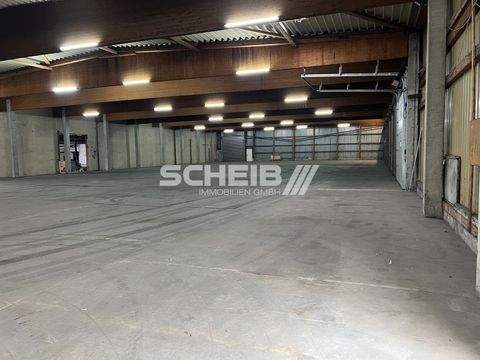 Crailsheim Halle, Crailsheim Hallenfläche