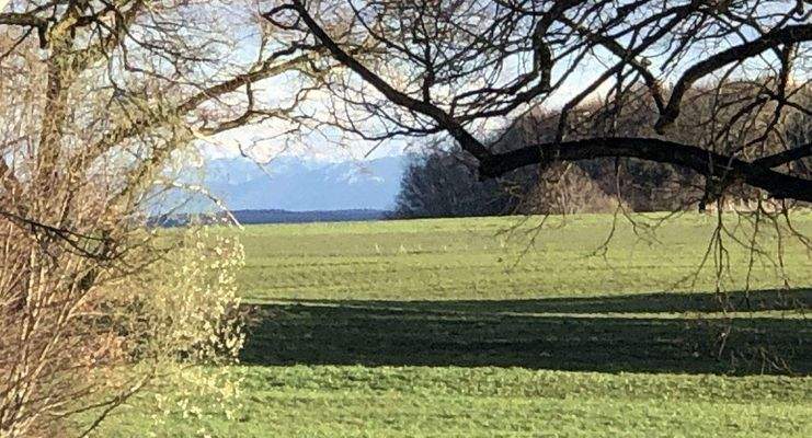 Blick von der Terasse