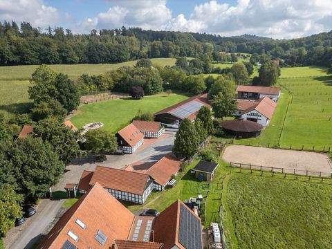 Borgholzhausen Häuser, Borgholzhausen Haus kaufen