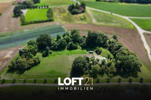 LOFT21 Immobilien