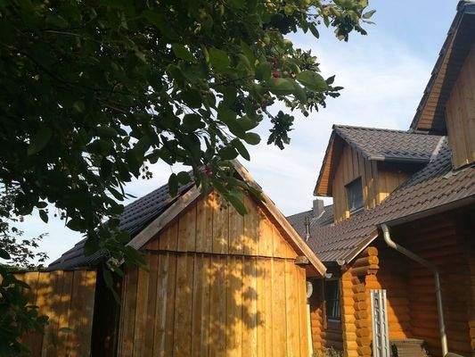 Ansicht Haus und Schuppen 