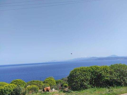 Kreta, Omprogialos: Grundstück mit unverbaubarem Meerblick zu verkaufen