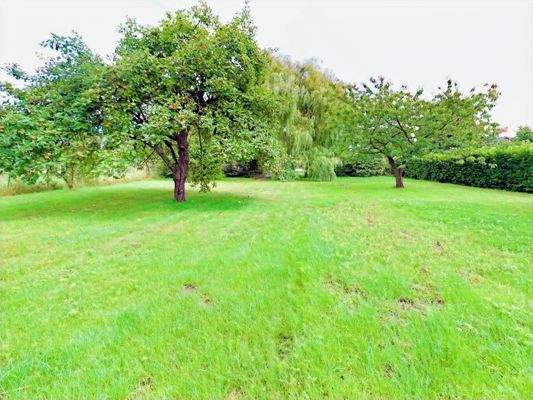 Garten mit Obst- und Wallnussbaum