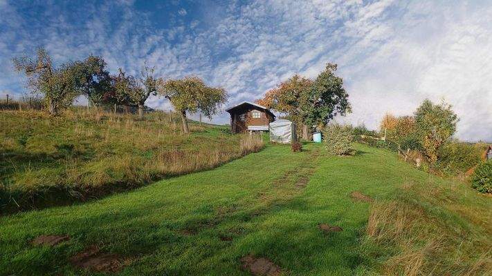 Garten mit kleinem Gartenhäuschen
