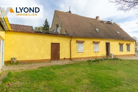 Güsten Häuser, Güsten Haus kaufen