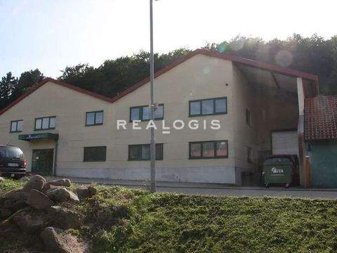 Eisingen Halle, Eisingen Hallenfläche