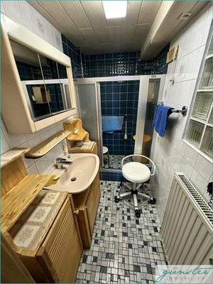 Kleines Bad Erdgeschoss m. Dusche