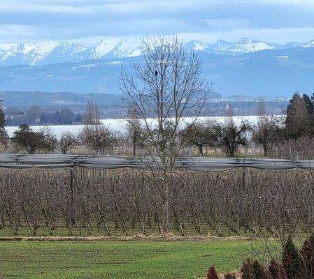Aussicht Original aus der Wohnung.