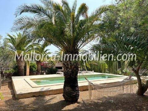 PortoPetro Mallorca Häuser, PortoPetro Mallorca Haus kaufen