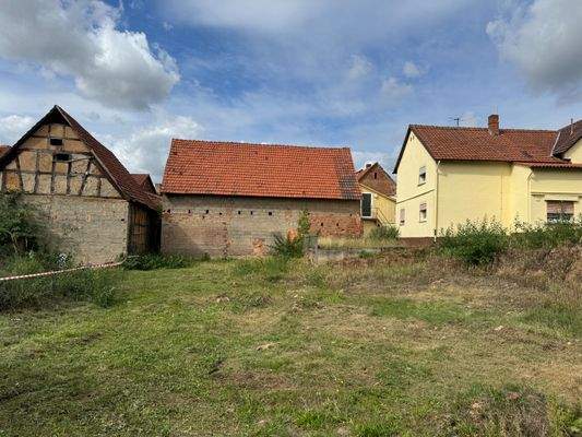 Grundstück Blick Richtung Westen