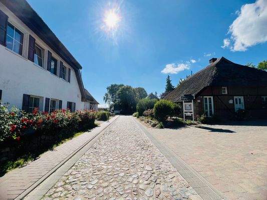 urige Strasse in Groß Zicker