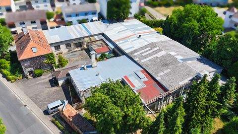 Schöneck Halle, Schöneck Hallenfläche