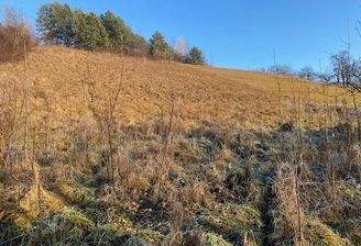 Bauland und Grünland