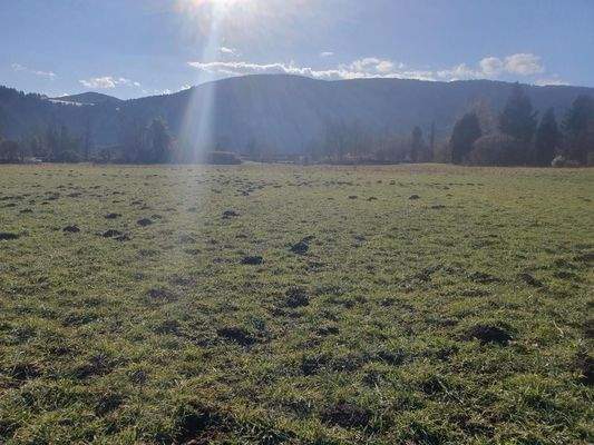 eben und nahe am See