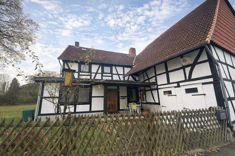 Elze / Wittenburg Häuser, Elze / Wittenburg Haus kaufen