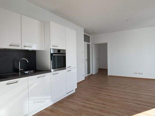 Moderne Küche und Wohnbereich