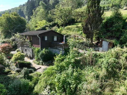 Bild 11